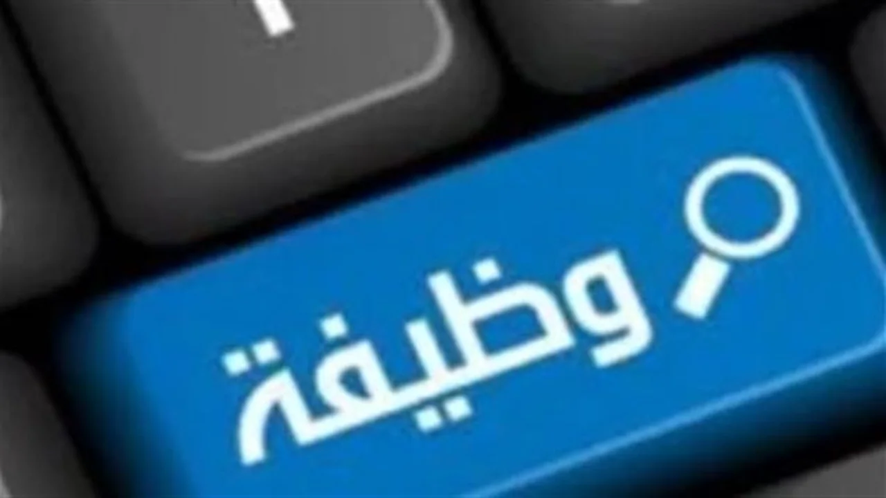 بموجب اللائحة الجديدة.. 6 فئات تُحرم من المنافسة على برنامج فرص الاستثماري